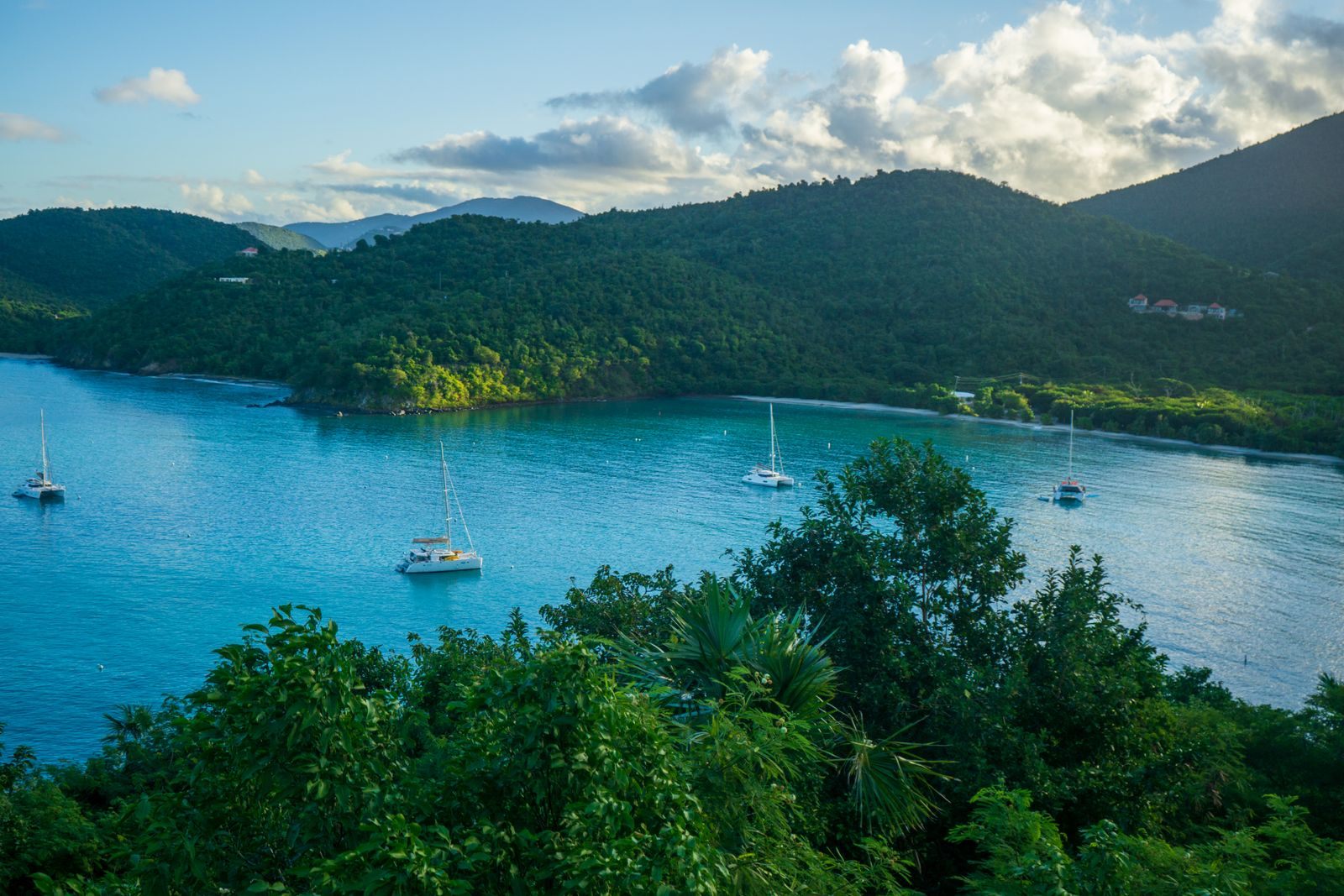 Catamarans moored in a calm bay surrounded by steep green hills under late-afternoon clouds