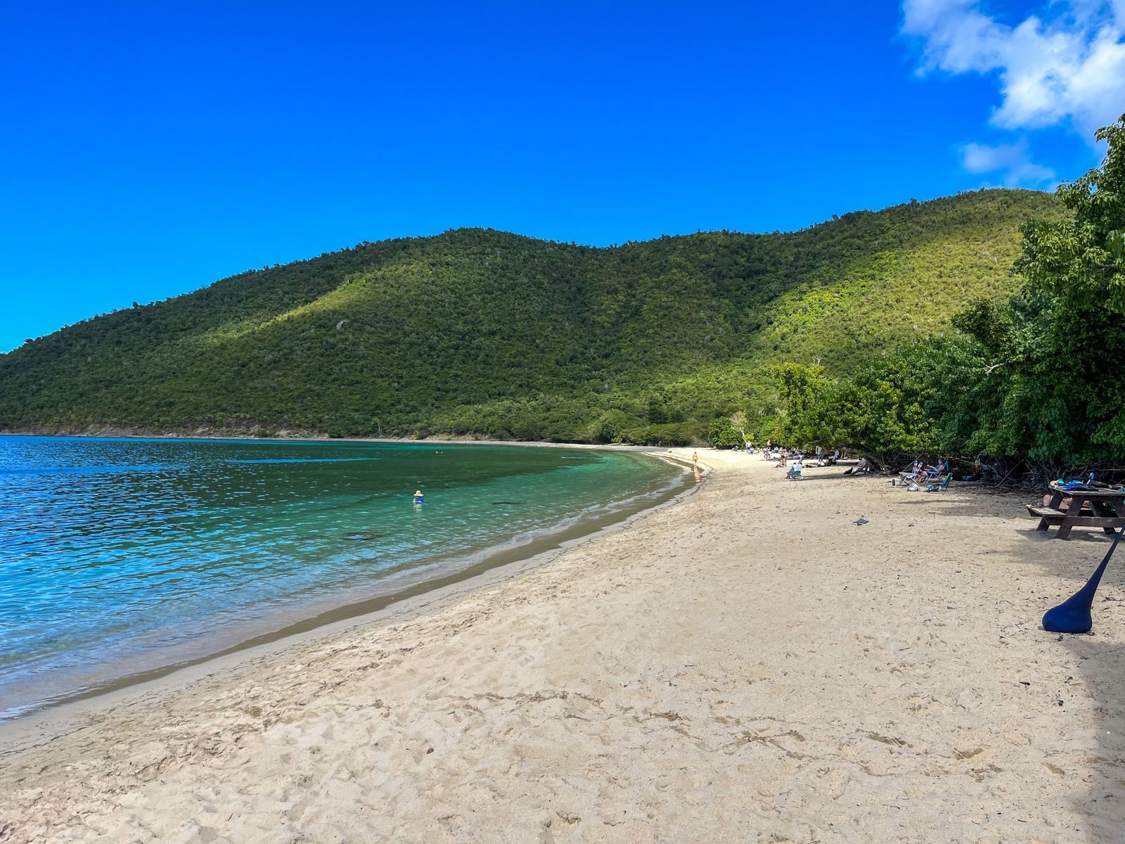 The curving sand of Francis Bay below forested hills in St. John Virgin Islands National Park